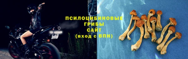 МДПВ Горняк