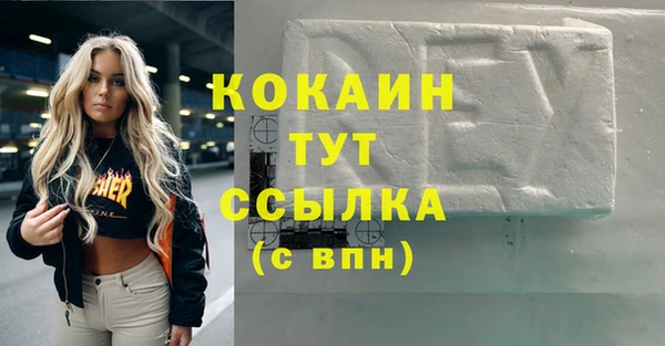 МДПВ Горняк