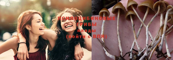 прущая мука Горнозаводск