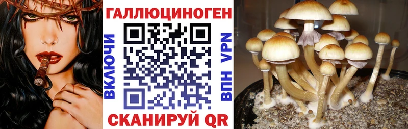 Псилоцибиновые грибы Psilocybe  Меленки 